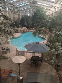 Atrium Inn - Piscine