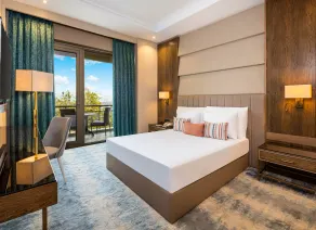 Hotel Çelik Palas Convention Center & Thermal SPA - Room