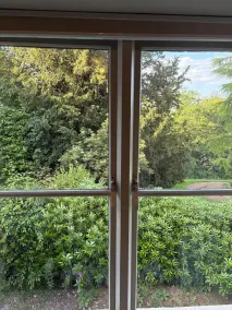 The Falcondale Country House Hotel - Udsigt fra værelset