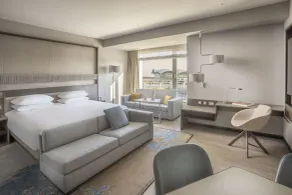 Hyatt Regency Algiers Airport - Room