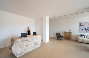 Muse of Mykonos  - Recepção
