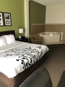 Sleep Inn & Suites Virginia Horse Center - Chambre