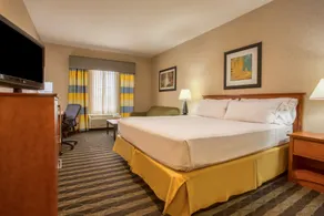 Holiday Inn Express Hotel & Suites Manteca by IHG - Chambre