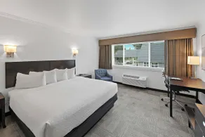 Best Western Wesley Inn & Suites - Room