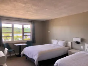 Duck Cove Inn - Værelse