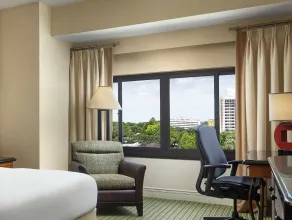 Hilton Orlando Lake Buena Vista - Disney Springs® Area - Vue de la chambre