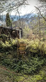 Emlyn's Coppice - Luxury Woodland Glamping - Udsigt fra værelset