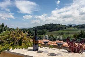 Clos Saint-Michel Resort & Spa - View from room
