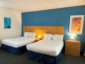 Ficus Hotel - Room