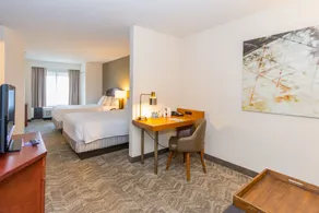 SpringHill Suites by Marriott Tampa Westshore Airport - Chambre