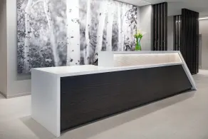 SpringHill Suites by Marriott Indianapolis Westfield - Réception