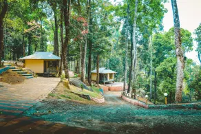 Vythiri Wild Forest Resort - Room