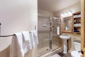 Red Hawk Lodge 2 Bedroom Condo in River Run Village - Badeværelse