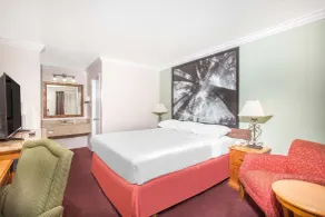 Upper Lake Inn and Suites - Værelse