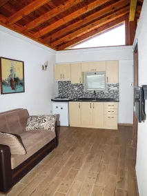 Mandalin Suites Palamutbükü - Living area