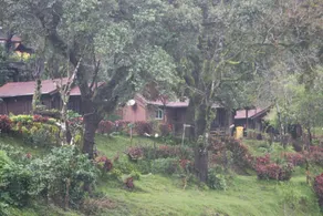 Three Hills Resort & Spa, Coorg - View from room