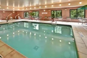 Holiday Inn Hotel & Suites Ann Arbor University of Michigan Area by IHG - Pool