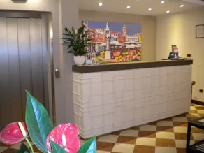 Hotel Aurora - Reception