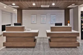 Hilton Garden Inn Birmingham/Lakeshore Drive - Réception