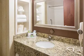 Holiday Inn Express & Suites I-26 & Us 29 At Westgate Mall by IHG - Chambre