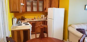 Comfortable Suite 3 - Cocina básica privada