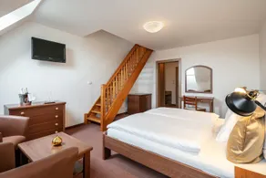 Pytloun Wellness Hotel Hasištejn - Habitación