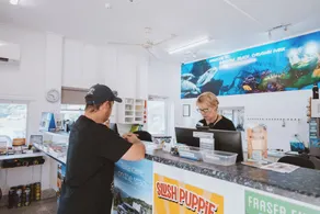 Discovery Parks - Bargara - Reception