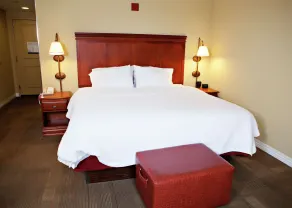 Hampton Inn Martin - Chambre