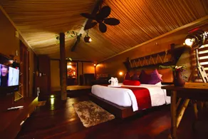 Wild Planet Jungle Resort - Chambre