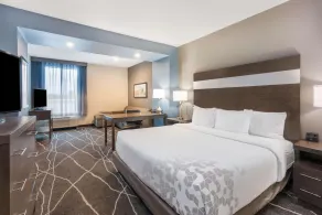 La Quinta Inn and Suites by Wyndham Houston Spring South - Værelse