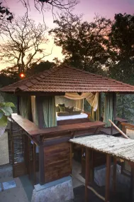 Baghvan, Pench National Park - Terrasse/Patio