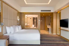 Radisson Blu Gorakhpur - Room