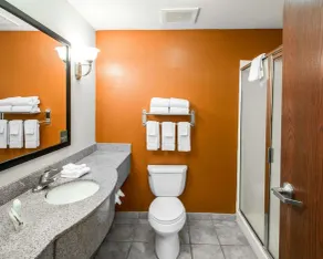 Sleep Inn & Suites Palatka North - Badezimmer