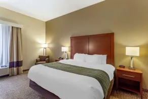 Comfort Inn & Suites Cave City - Chambre