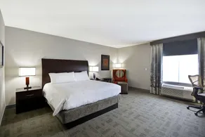 Hilton Garden Inn Toledo Perrysburg - Chambre