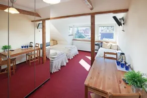Pytloun Wellness Travel Hotel - Chambre