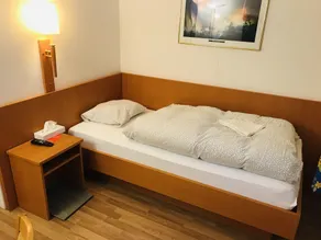 Parkhotel Bellevue Budget - Room