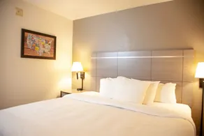Econo Lodge Pueblo North - Chambre