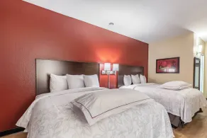 Red Roof Inn PLUS & Suites Houston - IAH Airport SW - Room