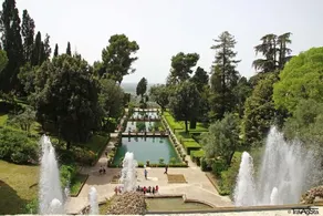 Hotel Le Rose - Piscine
