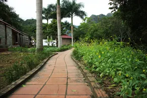 Viet Hai Lan Homestay - Terrenos do alojamento