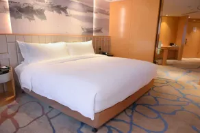 Pullman Wenzhou - Chambre
