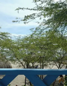 Playa del Ritmo Beach Hostel & Bar - Adults Only - View from room