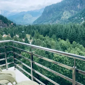 Hidden Heaven Manali - View from room
