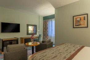 Crowne Plaza Dublin Airport by IHG - Room