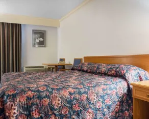 Econo Lodge By the Falls - Chambre