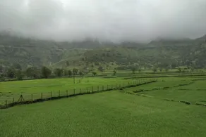 Touchwood Bliss Resort - Igatpuri - Garden