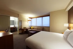 Hyatt Place Flushing/LaGuardia Airport - Chambre