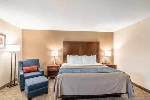 Comfort Inn Concord South End - Chambre