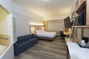 Holiday Inn Express Rochester Hills by IHG - Chambre